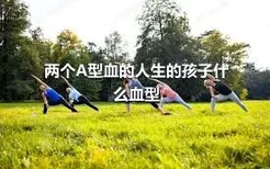 两个A型血的人生的孩子什么血型