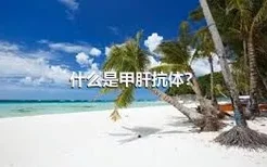 什么是甲肝抗体？