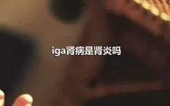 iga肾病是肾炎吗