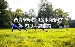 西青果颗粒和金银花颗粒可以一起喝吗