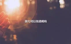 田七可以泡酒喝吗