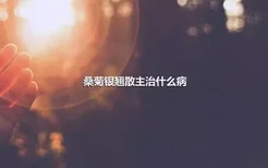 桑菊银翘散主治什么病