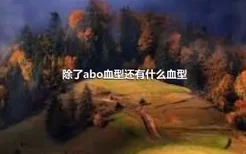 除了abo血型还有什么血型