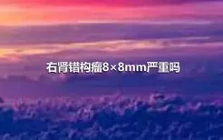 右肾错构瘤8×8mm严重吗