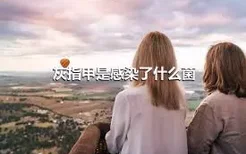 灰指甲是感染了什么菌