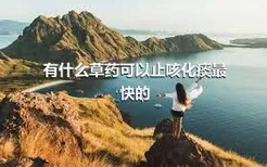 有什么草药可以止咳化痰最快的