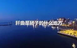 肝曲是肠子的什么地方