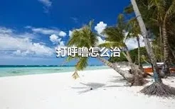 打呼噜怎么治