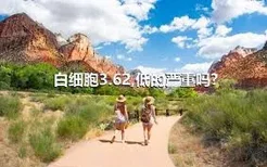 白细胞3.62,低的严重吗?