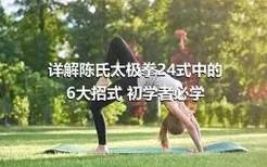 详解陈氏太极拳24式中的6大招式 初学者必学