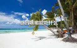 感冒咳嗽能吃什么