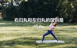 右归丸和左归丸的区别是什么,