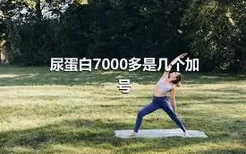 尿蛋白7000多是几个加号