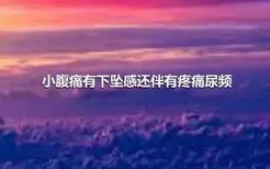 小腹痛有下坠感还伴有疼痛尿频