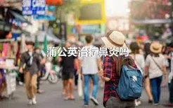 蒲公英治疗鼻炎吗