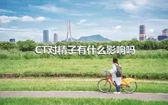 CT对精子有什么影响吗