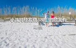 小孩持续发烧38度|的危害有哪些