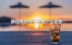 肺结核部分钙化是什么意思