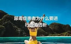 尿毒症患者为什么要进行血液透析