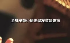 全身发黄小便也是发黄是啥病