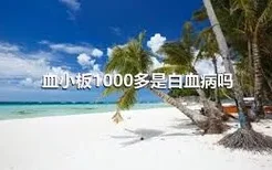 血小板1000多是白血病吗