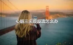 心脏三尖瓣反流怎么办