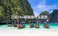 乙肝cho疫苗是什么意思