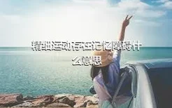 精细运动存在记忆障碍什么意思