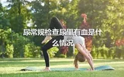 尿常规检查尿里有血是什么情况