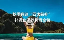 秋季有这“四大名补”补肾止泻养脾胃全包了