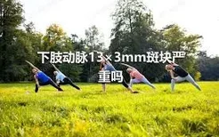 下肢动脉13×3mm斑块严重吗