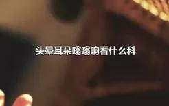 头晕耳朵嗡嗡响看什么科