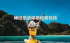 神经系统体格检查包括什么