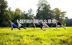 b超fl和hl是什么意思