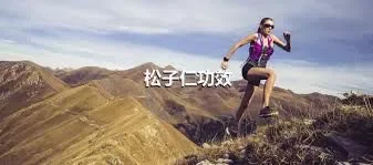 松子仁功效