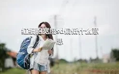 红细胞宽度sd偏低什么意思