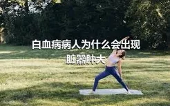 白血病病人为什么会出现脏器肿大