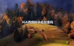 IGA肾病怀孕会加重吗