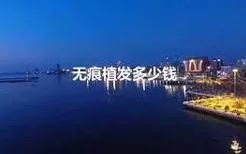 无痕植发多少钱