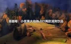 蔓越莓：小浆果大功效,DIY两款清爽饮品