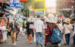 精力差，易疲劳，嗜睡是什么原因引起