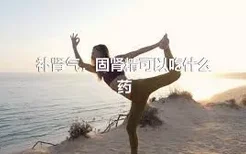 补肾气，固肾精可以吃什么药