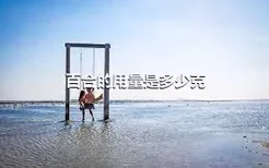 百合的用量是多少克