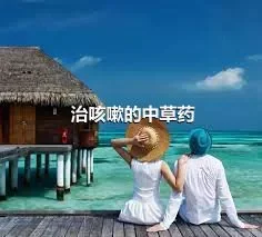 治咳嗽的中草药