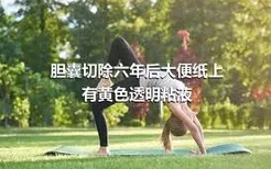 胆囊切除六年后大便纸上有黄色透明粘液