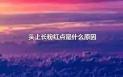 头上长粉红点是什么原因