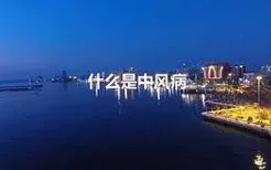 什么是中风病