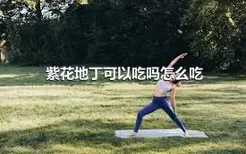 紫花地丁可以吃吗怎么吃