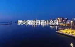 腰突腿酸困看什么科