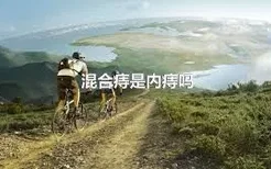 混合痔是内痔吗